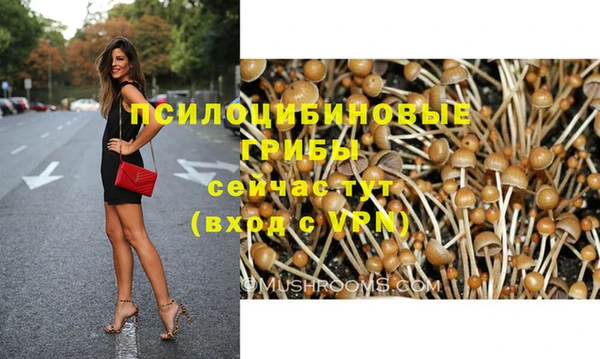 СК Усинск