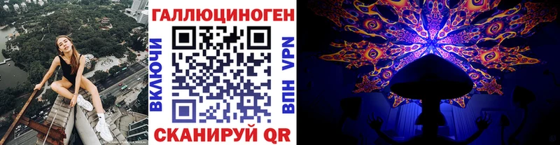 Галлюциногенные грибы Psilocybe  Купить закладки  Вольск 